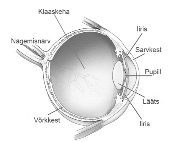 Klaaskeha hõljum